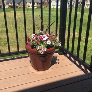 Meet your Posher, Julie